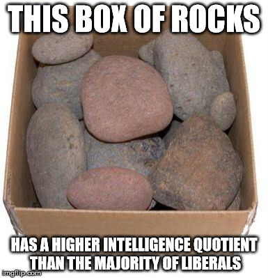 Box of Rocks | THIS BOX OF ROCKS; HAS A HIGHER INTELLIGENCE QUOTIENT THAN THE MAJORITY OF LIBERALS | image tagged in box of rocks | made w/ Imgflip meme maker