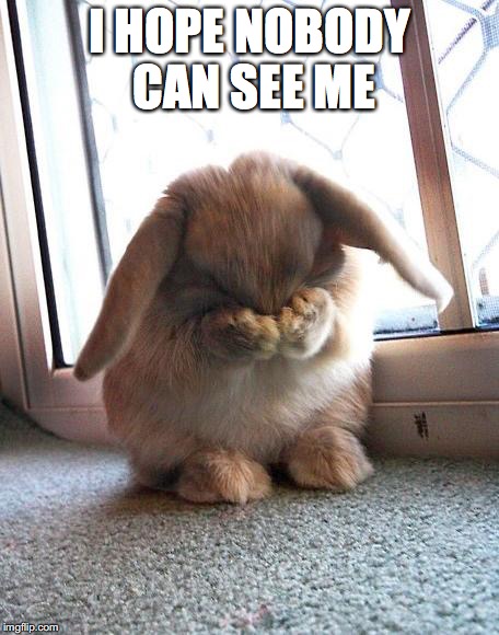 embarrassed bunny | I HOPE NOBODY CAN SEE ME | image tagged in embarrassed bunny | made w/ Imgflip meme maker