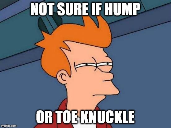 Futurama Fry Meme | NOT SURE IF HUMP OR TOE KNUCKLE | image tagged in memes,futurama fry | made w/ Imgflip meme maker