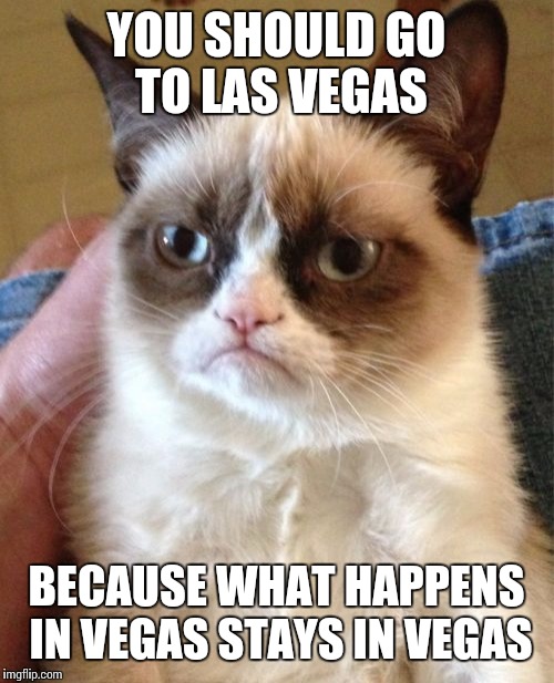 Grumpy Cat | YOU SHOULD GO TO LAS VEGAS; BECAUSE WHAT HAPPENS IN VEGAS STAYS IN VEGAS | image tagged in memes,grumpy cat | made w/ Imgflip meme maker