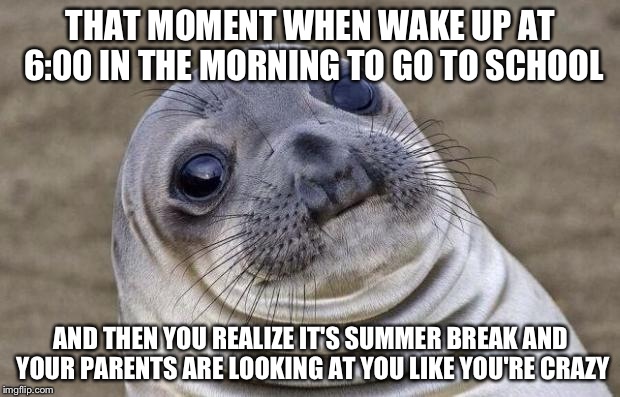 My life in a nutshell | THAT MOMENT WHEN WAKE UP AT 6:00 IN THE MORNING TO GO TO SCHOOL; AND THEN YOU REALIZE IT'S SUMMER BREAK AND YOUR PARENTS ARE LOOKING AT YOU LIKE YOU'RE CRAZY | image tagged in memes,awkward moment sealion | made w/ Imgflip meme maker