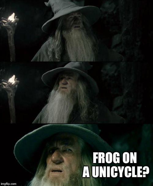 Confused Gandalf Meme | FROG ON A UNICYCLE? | image tagged in memes,confused gandalf,AdviceAnimals | made w/ Imgflip meme maker