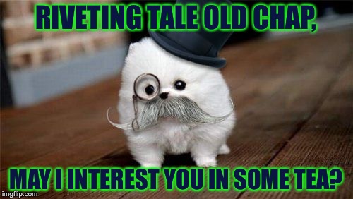 I Saw This Picture and Just Had Too........ | RIVETING TALE OLD CHAP, MAY I INTEREST YOU IN SOME TEA? | image tagged in memes,cute,like a sir,dogs | made w/ Imgflip meme maker