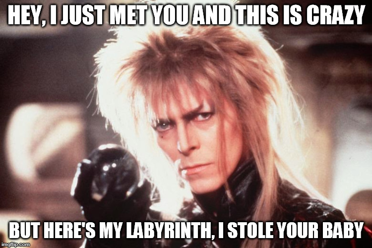 Labyrinth David Bowie | HEY, I JUST MET YOU AND THIS IS CRAZY; BUT HERE'S MY LABYRINTH, I STOLE YOUR BABY | image tagged in labrynth david bowie | made w/ Imgflip meme maker