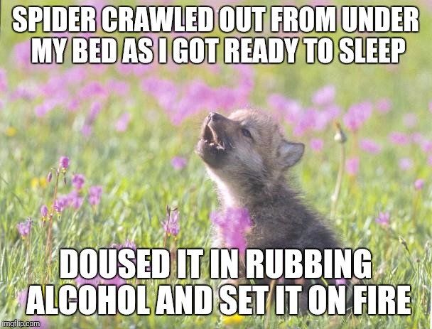 Baby Insanity Wolf Meme | SPIDER CRAWLED OUT FROM UNDER MY BED AS I GOT READY TO SLEEP; DOUSED IT IN RUBBING ALCOHOL AND SET IT ON FIRE | image tagged in memes,baby insanity wolf,AdviceAnimals | made w/ Imgflip meme maker