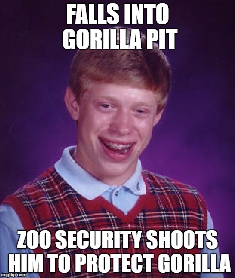 Bad Luck Brian | FALLS INTO GORILLA PIT; ZOO SECURITY SHOOTS HIM TO PROTECT GORILLA | image tagged in memes,bad luck brian | made w/ Imgflip meme maker