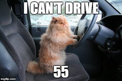 Can't Drive 55 | I CAN'T DRIVE; 55 | image tagged in idon'trememberthesongname | made w/ Imgflip meme maker