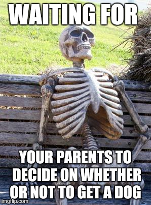 Go Ask Your Father  | WAITING FOR; YOUR PARENTS TO DECIDE ON WHETHER OR NOT TO GET A DOG | image tagged in memes,waiting skeleton | made w/ Imgflip meme maker