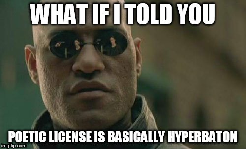 Matrix Morpheus Meme | WHAT IF I TOLD YOU POETIC LICENSE IS BASICALLY HYPERBATON | image tagged in memes,matrix morpheus | made w/ Imgflip meme maker