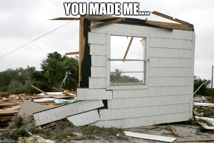 home wrecker mike | YOU MADE ME.... | image tagged in home wrecker mike | made w/ Imgflip meme maker