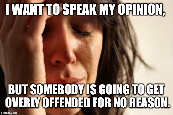 First World Problems Meme | I WANT TO SPEAK MY OPINION, BUT SOMEBODY IS GOING TO GET OVERLY OFFENDED FOR NO REASON. | image tagged in memes,first world problems | made w/ Imgflip meme maker