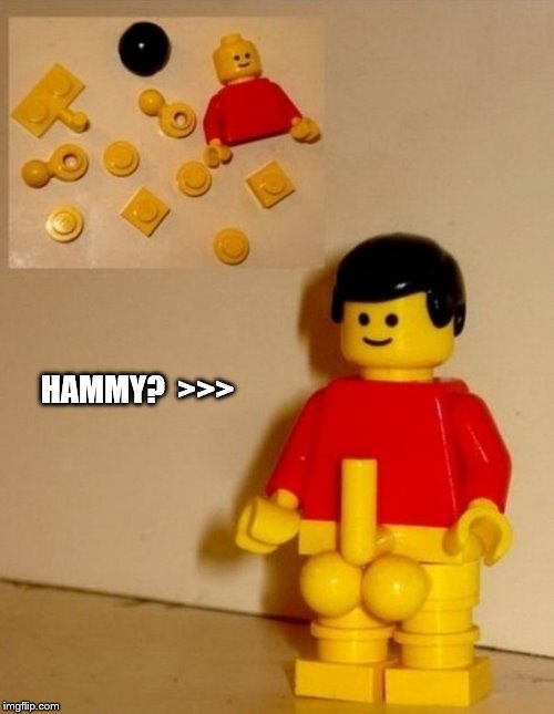 HAMMY?  >>> | made w/ Imgflip meme maker