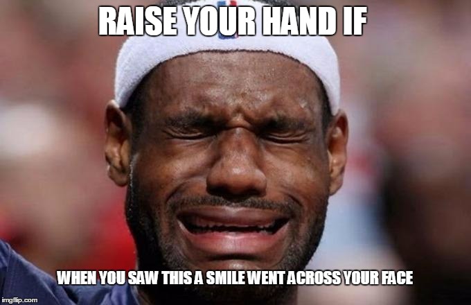 RAISE YOUR HAND IF; WHEN YOU SAW THIS A SMILE WENT ACROSS YOUR FACE | image tagged in lebron | made w/ Imgflip meme maker