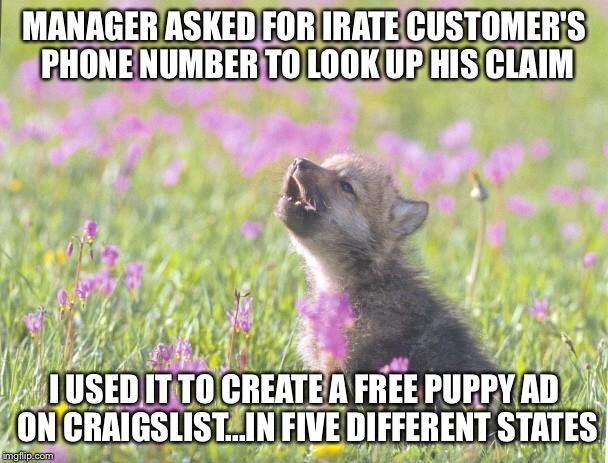 Baby Insanity Wolf Meme |  MANAGER ASKED FOR IRATE CUSTOMER'S PHONE NUMBER TO LOOK UP HIS CLAIM; I USED IT TO CREATE A FREE PUPPY AD ON CRAIGSLIST...IN FIVE DIFFERENT STATES | image tagged in memes,baby insanity wolf,AdviceAnimals | made w/ Imgflip meme maker