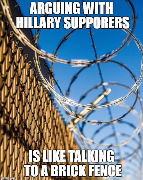 But they didn't call it a wall... | ARGUING WITH HILLARY SUPPORERS; IS LIKE TALKING TO A BRICK FENCE | image tagged in pretty fence concertina,hillary clinton,donald trump,brick wall,fence | made w/ Imgflip meme maker