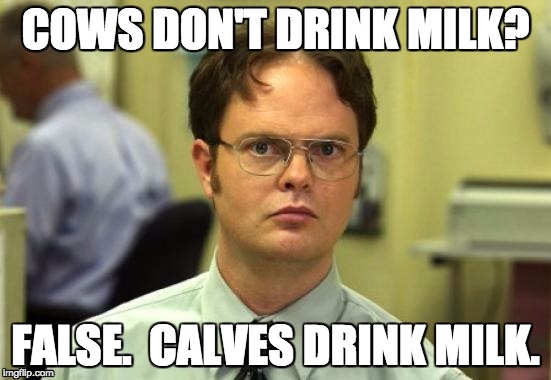 COWS DON'T DRINK MILK? FALSE.  CALVES DRINK MILK. | made w/ Imgflip meme maker