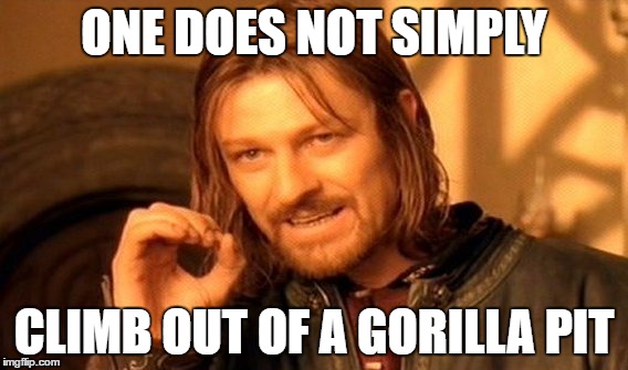 One Does Not Simply | ONE DOES NOT SIMPLY; CLIMB OUT OF A GORILLA PIT | image tagged in memes,one does not simply | made w/ Imgflip meme maker