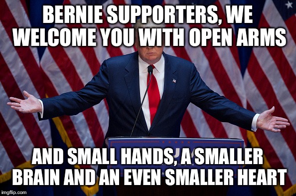 Donald Trump | BERNIE SUPPORTERS, WE WELCOME YOU WITH OPEN ARMS; AND SMALL HANDS, A SMALLER BRAIN AND AN EVEN SMALLER HEART | image tagged in donald trump | made w/ Imgflip meme maker
