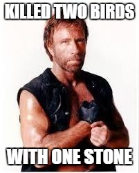 Chuck Norris Flex | KILLED TWO BIRDS; WITH ONE STONE | image tagged in chuck norris | made w/ Imgflip meme maker