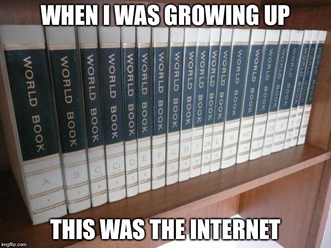 World Book and the Internet  | WHEN I WAS GROWING UP; THIS WAS THE INTERNET | image tagged in world book encyclopedia,memes | made w/ Imgflip meme maker