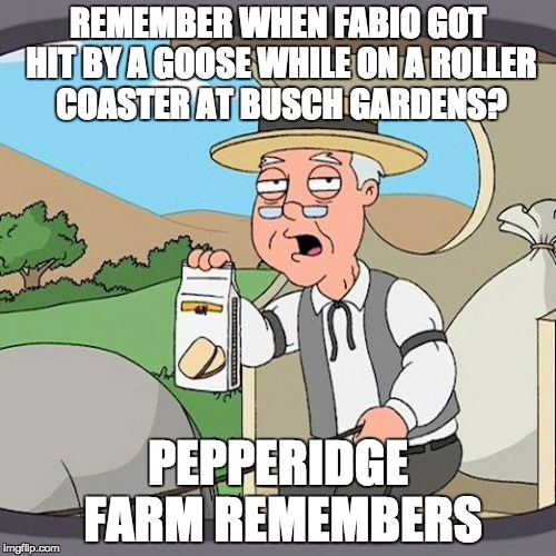 Pepperidge Farm Remembers Meme | REMEMBER WHEN FABIO GOT HIT BY A GOOSE WHILE ON A ROLLER COASTER AT BUSCH GARDENS? PEPPERIDGE FARM REMEMBERS | image tagged in memes,pepperidge farm remembers | made w/ Imgflip meme maker