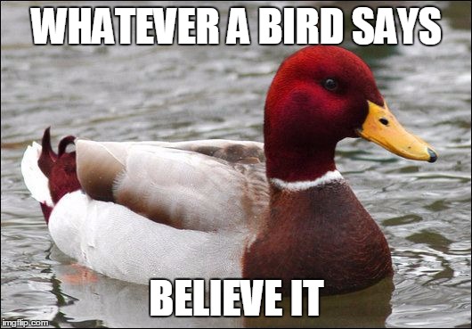 WHATEVER A BIRD SAYS BELIEVE IT | made w/ Imgflip meme maker