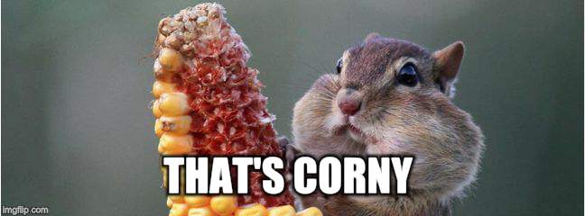 THAT'S CORNY | image tagged in cant talk right now | made w/ Imgflip meme maker