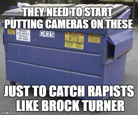 Dumpster | THEY NEED TO START PUTTING CAMERAS ON THESE; JUST TO CATCH RAPISTS LIKE BROCK TURNER | image tagged in dumpster | made w/ Imgflip meme maker