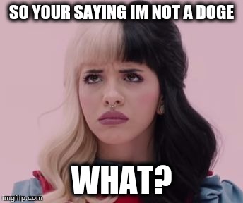 Melanie | SO YOUR SAYING IM NOT A DOGE; WHAT? | image tagged in melanie | made w/ Imgflip meme maker