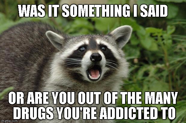 Surpised raccoon | WAS IT SOMETHING I SAID; OR ARE YOU OUT OF THE MANY DRUGS YOU'RE ADDICTED TO | image tagged in surpised raccoon,memes | made w/ Imgflip meme maker