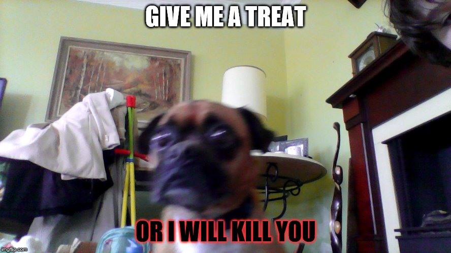 Doc | GIVE ME A TREAT; OR I WILL KILL YOU | image tagged in doc | made w/ Imgflip meme maker