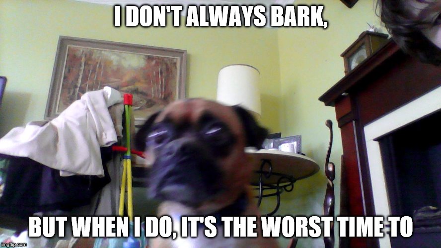Doc | I DON'T ALWAYS BARK, BUT WHEN I DO, IT'S THE WORST TIME TO | image tagged in doc | made w/ Imgflip meme maker