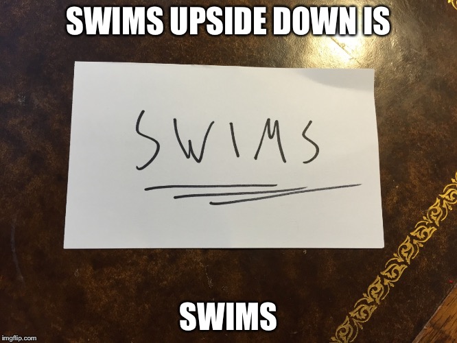SWIMS UPSIDE DOWN IS; SWIMS | image tagged in swims | made w/ Imgflip meme maker