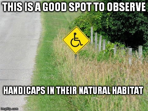 Be very very quiet  | THIS IS A GOOD SPOT TO OBSERVE; HANDICAPS IN THEIR NATURAL HABITAT | image tagged in funny signs | made w/ Imgflip meme maker