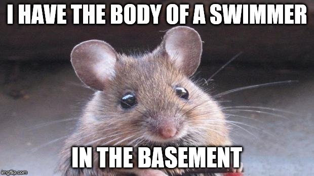 Don't let the cuteness fool you | I HAVE THE BODY OF A SWIMMER; IN THE BASEMENT | image tagged in cute but evil mouse,memes,killer | made w/ Imgflip meme maker