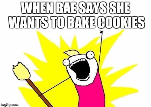 X All The Y Meme | WHEN BAE SAYS SHE WANTS TO BAKE COOKIES | image tagged in memes,x all the y | made w/ Imgflip meme maker