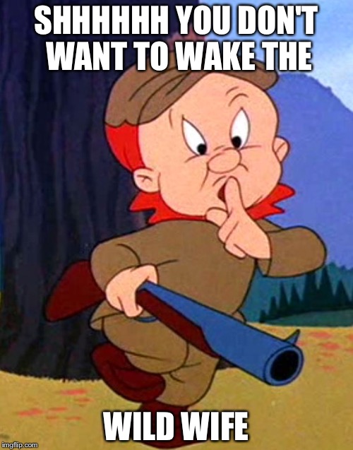 Saturday Morning Cartoon |  SHHHHHH YOU DON'T WANT TO WAKE THE; WILD WIFE | image tagged in elmer fudd,memes,marriage | made w/ Imgflip meme maker