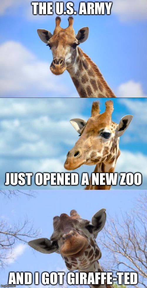 Bad Pun Giraffe | THE U.S. ARMY; JUST OPENED A NEW ZOO; AND I GOT GIRAFFE-TED | image tagged in bad pun giraffe | made w/ Imgflip meme maker