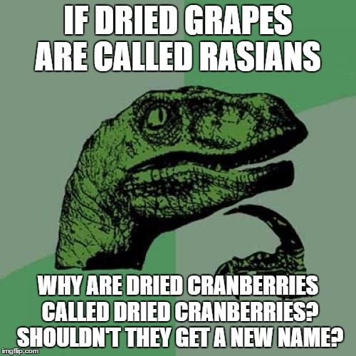 Something everyone's wondered | IF DRIED GRAPES ARE CALLED RASIANS; WHY ARE DRIED CRANBERRIES CALLED DRIED CRANBERRIES? SHOULDN'T THEY GET A NEW NAME? | image tagged in memes,philosoraptor,funny | made w/ Imgflip meme maker