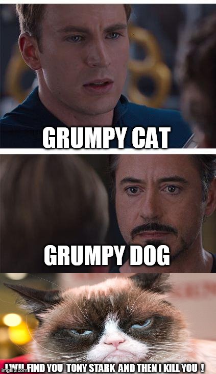 Marvel Civil War 1 | GRUMPY CAT; GRUMPY DOG; I WIL FIND YOU  TONY STARK  AND THEN I KILL YOU  ! | image tagged in memes,marvel civil war 1 | made w/ Imgflip meme maker