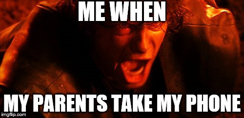 I HATE YOU | ME WHEN; MY PARENTS TAKE MY PHONE | image tagged in i hate you | made w/ Imgflip meme maker