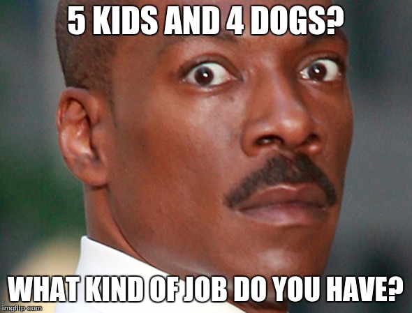 Eddie Murphy Uh Oh | 5 KIDS AND 4 DOGS? WHAT KIND OF JOB DO YOU HAVE? | image tagged in eddie murphy uh oh | made w/ Imgflip meme maker