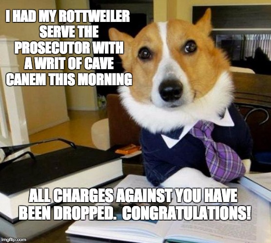 Beware of Dog | I HAD MY ROTTWEILER SERVE THE PROSECUTOR WITH A WRIT OF CAVE CANEM THIS MORNING; ALL CHARGES AGAINST YOU HAVE BEEN DROPPED.  CONGRATULATIONS! | image tagged in lawyer dog | made w/ Imgflip meme maker