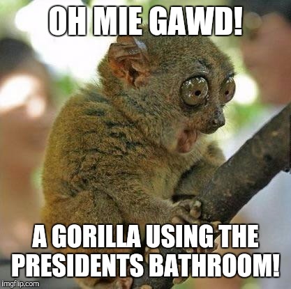 Oh my God!! | OH MIE GAWD! A GORILLA USING THE PRESIDENTS BATHROOM! | image tagged in oh my god | made w/ Imgflip meme maker