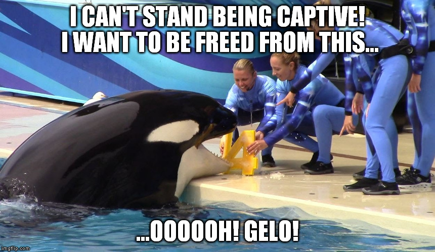 I CAN'T STAND BEING CAPTIVE! I WANT TO BE FREED FROM THIS... ...OOOOOH! GELO! | made w/ Imgflip meme maker