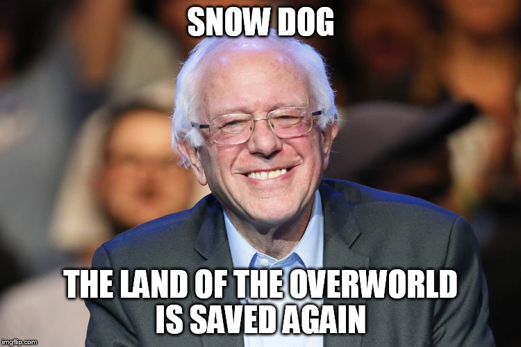 Bernie "Snow Dog" Sanders | SNOW DOG; THE LAND OF THE OVERWORLD IS SAVED AGAIN | image tagged in bernie sanders | made w/ Imgflip meme maker