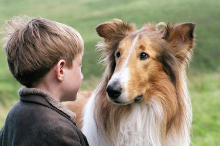 lassie and timmy Blank Meme Template