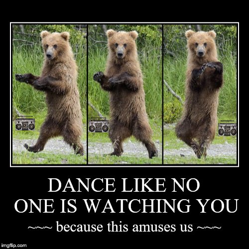 What wild bears really do in the woods.  | image tagged in funny,demotivationals,animals | made w/ Imgflip demotivational maker