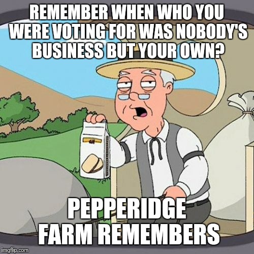 Pepperidge Farm Remembers Meme | REMEMBER WHEN WHO YOU WERE VOTING FOR WAS NOBODY'S BUSINESS BUT YOUR OWN? PEPPERIDGE FARM REMEMBERS | image tagged in memes,pepperidge farm remembers,AdviceAnimals | made w/ Imgflip meme maker