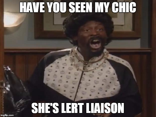 Martin | HAVE YOU SEEN MY CHIC; SHE'S LERT LIAISON | image tagged in martin | made w/ Imgflip meme maker